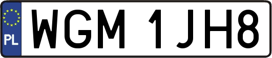 WGM1JH8