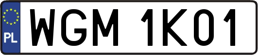WGM1K01