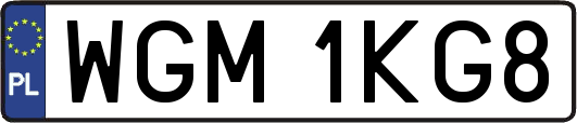 WGM1KG8