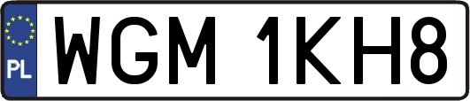 WGM1KH8