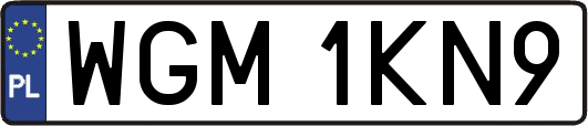 WGM1KN9