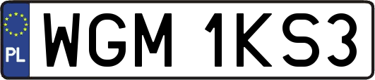 WGM1KS3