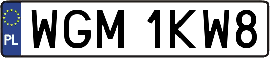 WGM1KW8