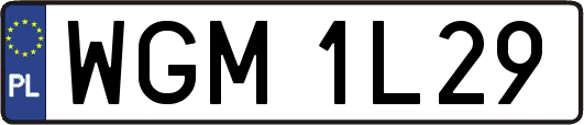WGM1L29