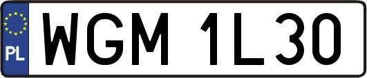 WGM1L30