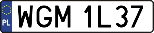 WGM1L37