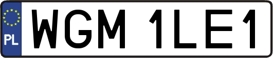 WGM1LE1