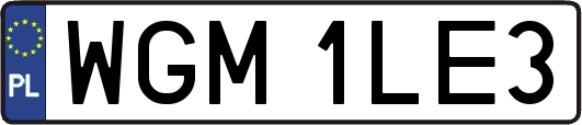 WGM1LE3