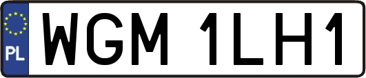 WGM1LH1