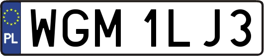 WGM1LJ3