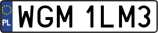 WGM1LM3