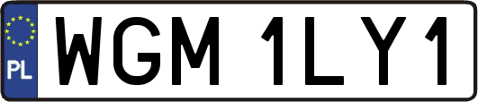 WGM1LY1