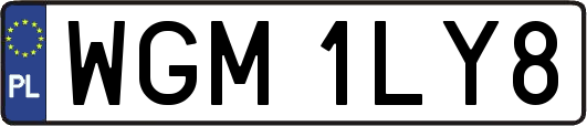 WGM1LY8