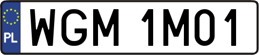 WGM1M01