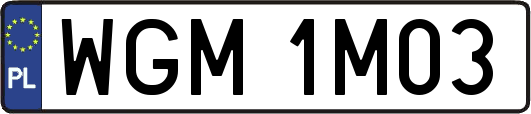 WGM1M03