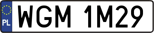 WGM1M29