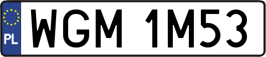 WGM1M53