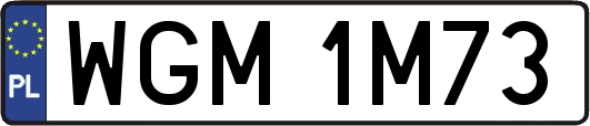 WGM1M73