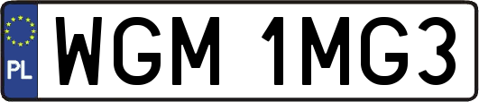 WGM1MG3