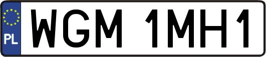 WGM1MH1
