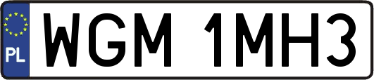 WGM1MH3