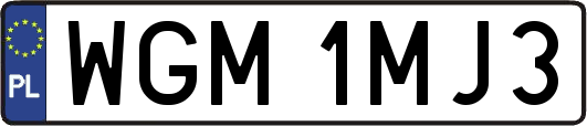 WGM1MJ3