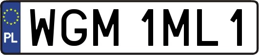 WGM1ML1