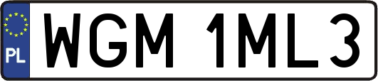 WGM1ML3
