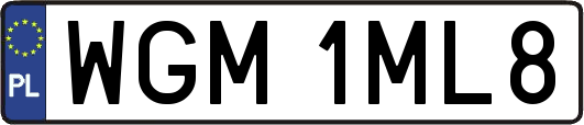 WGM1ML8