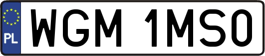 WGM1MS0