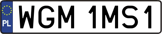 WGM1MS1