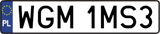 WGM1MS3