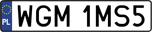 WGM1MS5