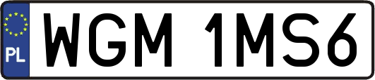 WGM1MS6