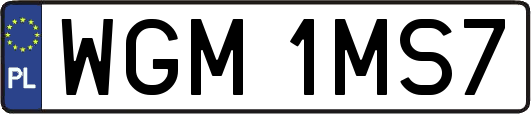 WGM1MS7