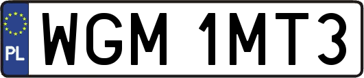 WGM1MT3
