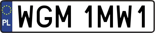 WGM1MW1