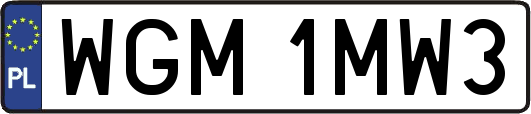 WGM1MW3