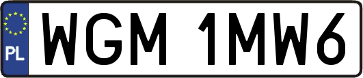 WGM1MW6