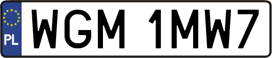 WGM1MW7