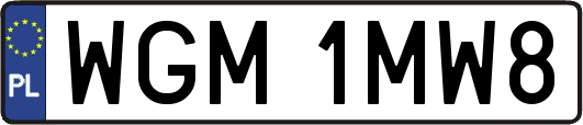 WGM1MW8