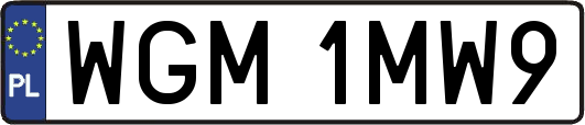 WGM1MW9