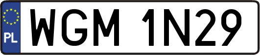 WGM1N29