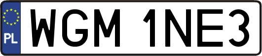 WGM1NE3