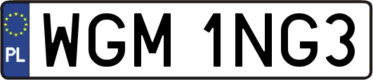 WGM1NG3