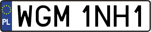 WGM1NH1