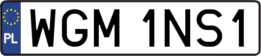WGM1NS1