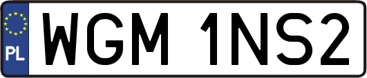 WGM1NS2