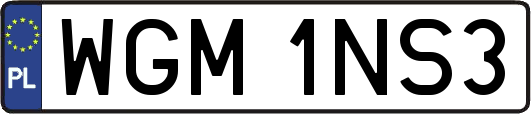 WGM1NS3