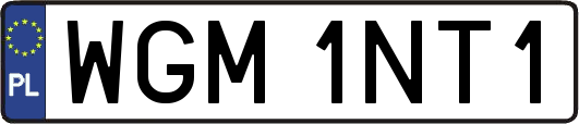 WGM1NT1